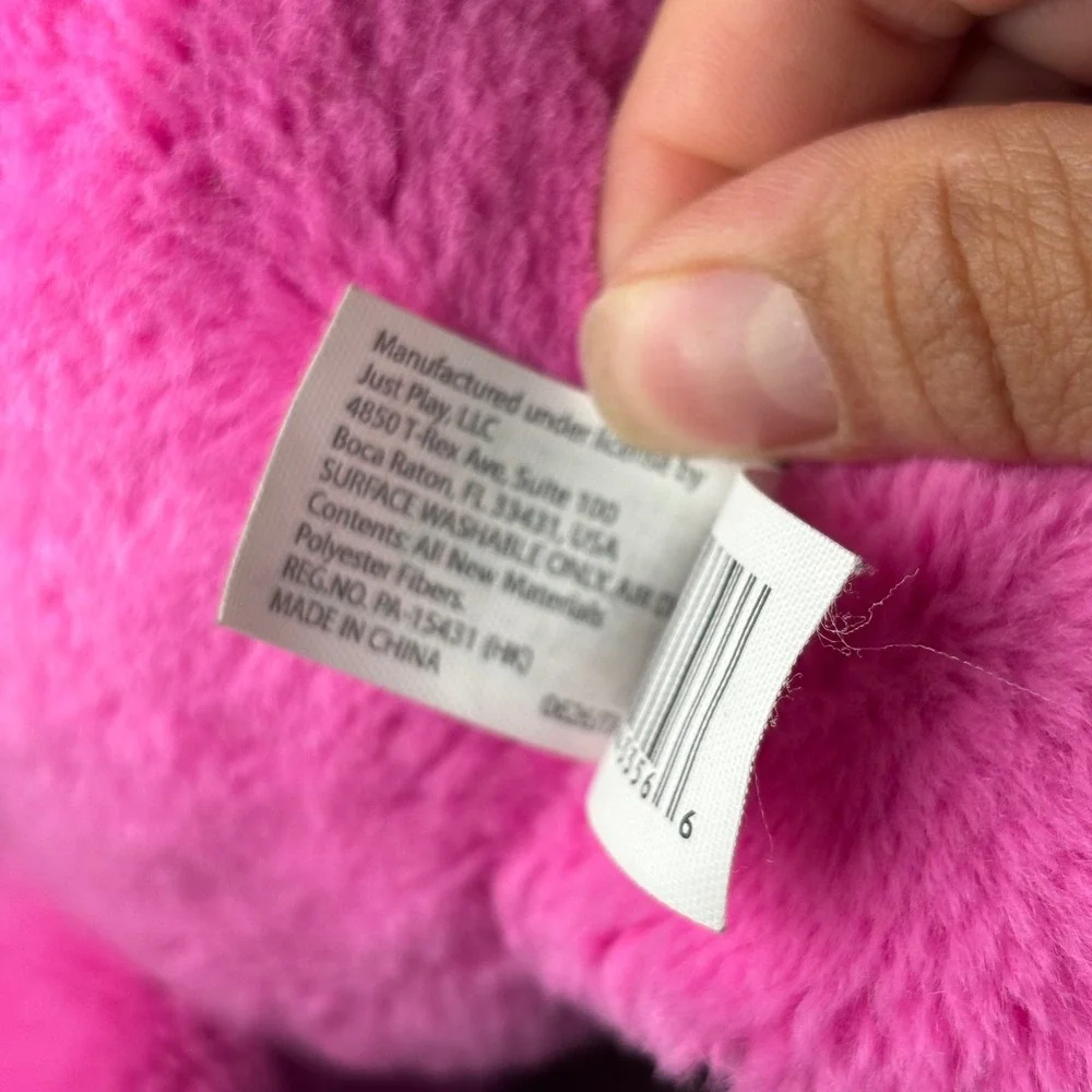 Care Bears Cheer Bear Plush 13